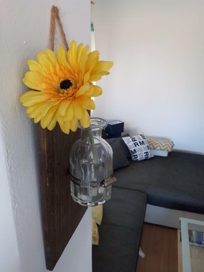 Apartman Zvoncica วรซี ภายนอก รูปภาพ